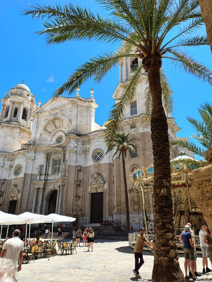 Cathedral and palm trees in Cádiz, Spain